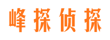 鹿城市婚外情取证